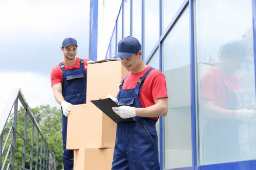 Organizing items before household storage in Honoroak